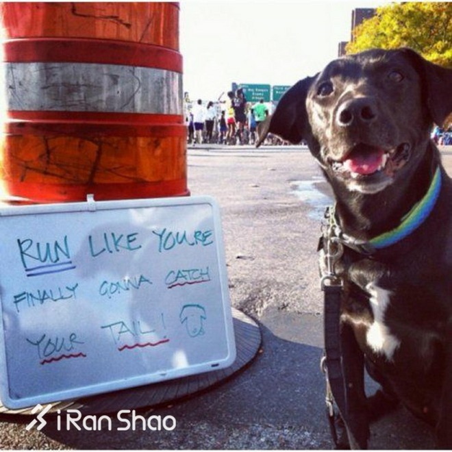 回顾 | 活久见！马拉松赛道的标语满是套路啊