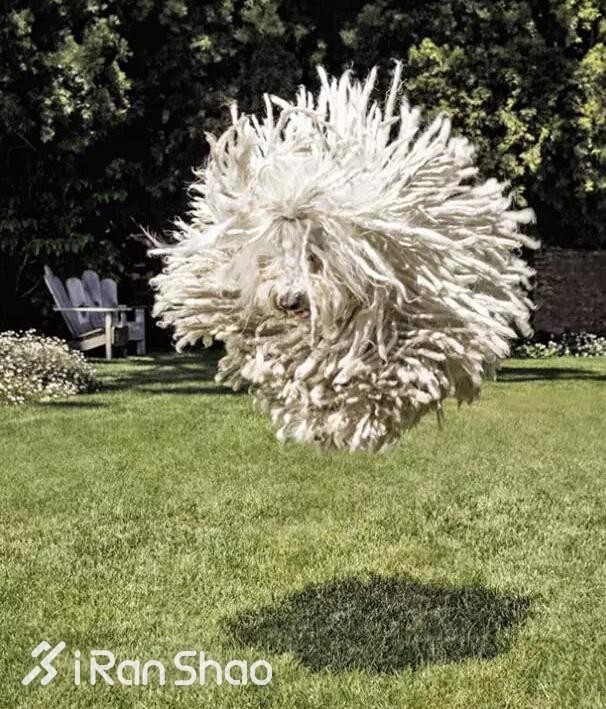 人物 | 扎克伯格比你聪明有钱，马拉松可能也比你跑得快