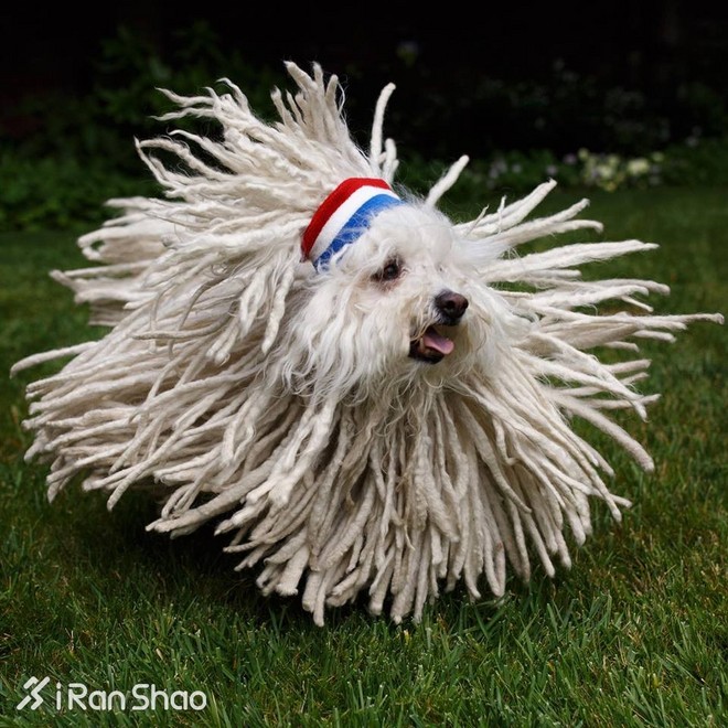 人物 | 扎克伯格比你聪明有钱，马拉松可能也比你跑得快