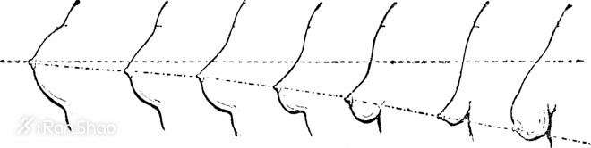 科普 | 跑步真的会把胸跑小么？