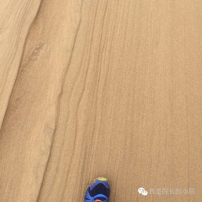 去远方 跑一场百公里 —— 记第三届青海湖超级越野跑