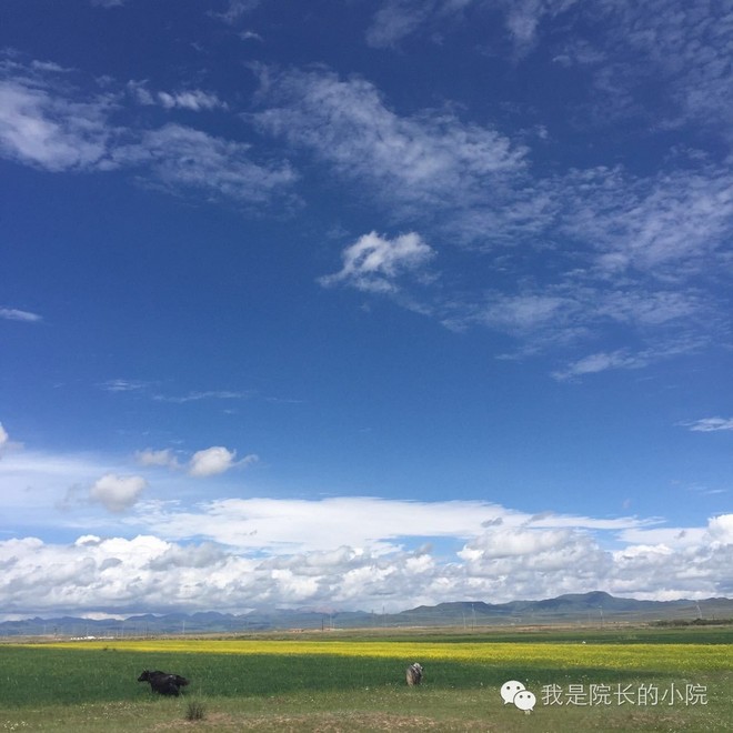 去远方 跑一场百公里 —— 记第三届青海湖超级越野跑