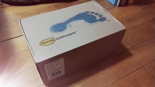 VibramFivefingers V-run 极简跑鞋里面的表率。