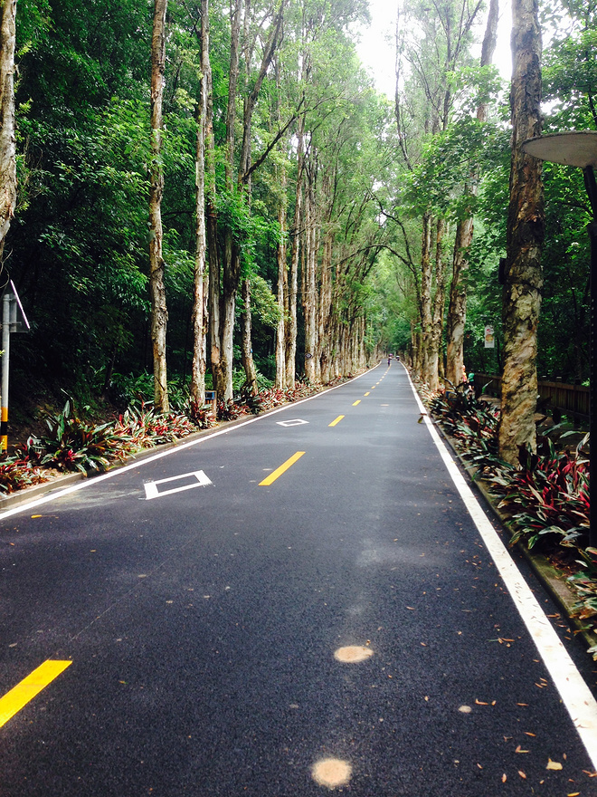 VibramFivefingers V-run 极简跑鞋里面的表率。