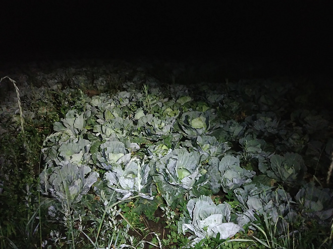 我跑過的最遠的路，是你的套路