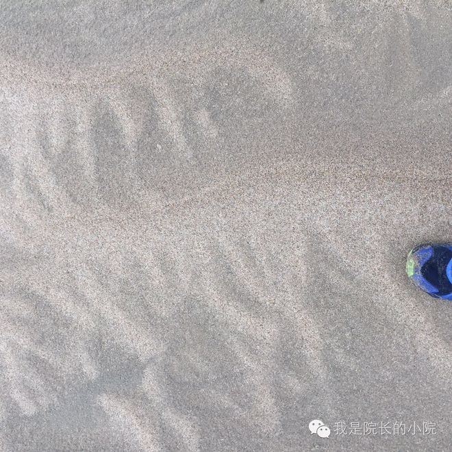 去远方 跑一场百公里 —— 记第三届青海湖超级越野跑