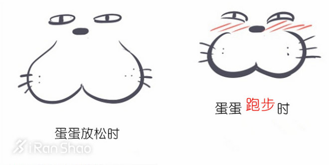 特别企划 | 关爱男性健康 我们来扯扯蛋那些事儿（内含视频彩蛋）