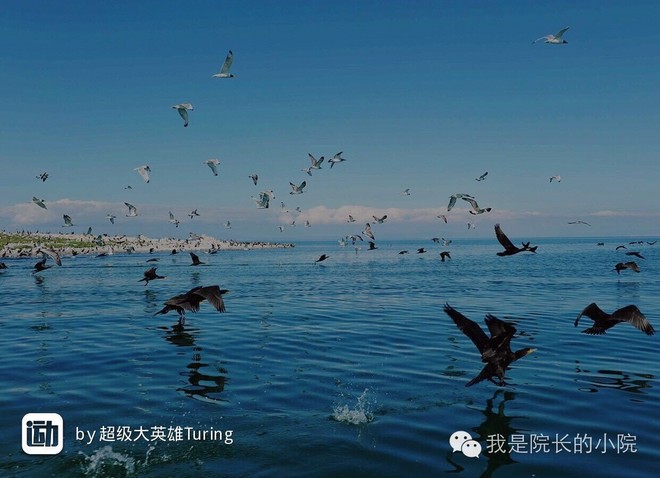 去远方 跑一场百公里 —— 记第三届青海湖超级越野跑