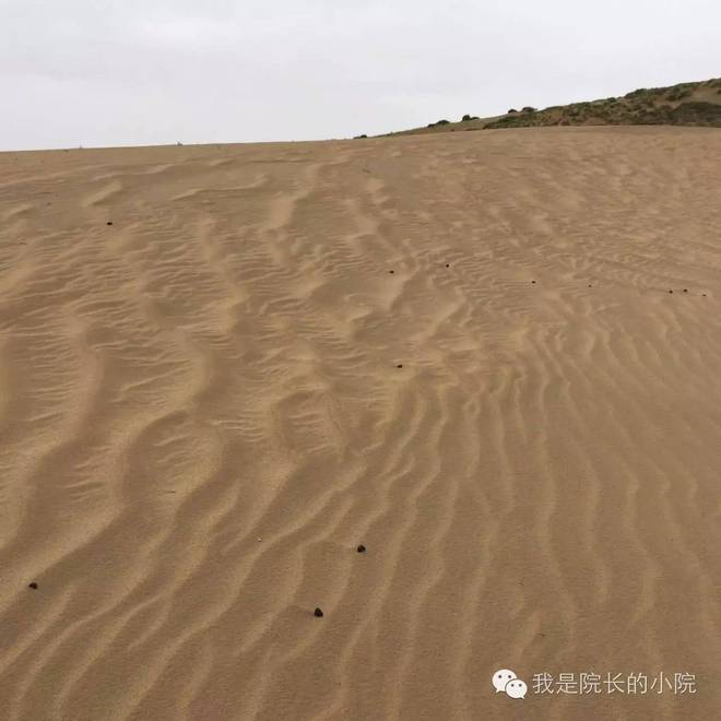 去远方 跑一场百公里 —— 记第三届青海湖超级越野跑