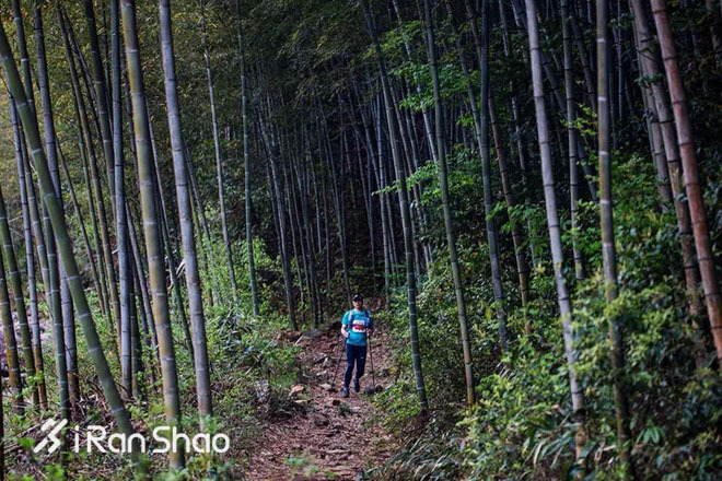 你负责像博尔特一样奔跑 我负责为你提供贴心服务