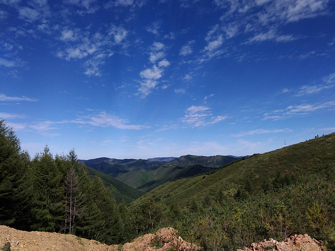 我跑過的最遠的路，是你的套路