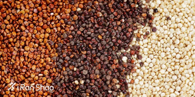 饮食 | 沙拉界的新晋网红 藜麦特别在哪儿呢