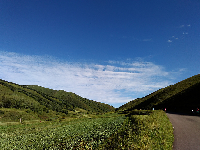 我跑過的最遠的路，是你的套路