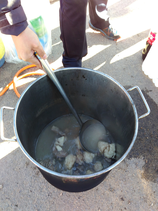 我跑過的最遠的路，是你的套路