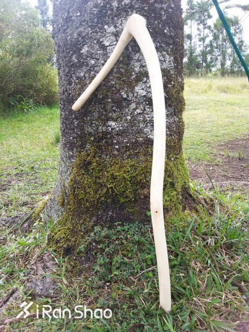 TopX | 用过都说好 运动按摩工具大盘点