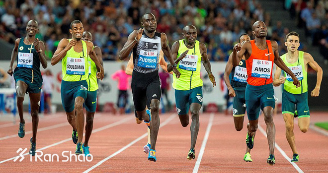 科普 | 为什么800米如此酸爽？