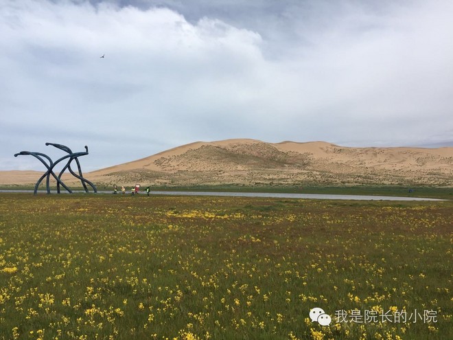 去远方 跑一场百公里 —— 记第三届青海湖超级越野跑