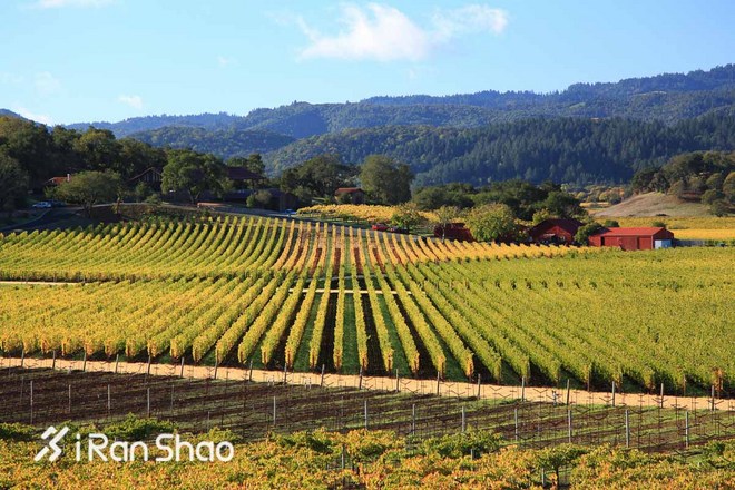 TopX | 2016全球马拉松推荐榜出炉 总有一席被中国占据