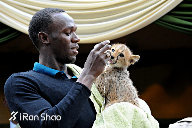 回顾里约 | 恕我直言 你们对速度一无所知