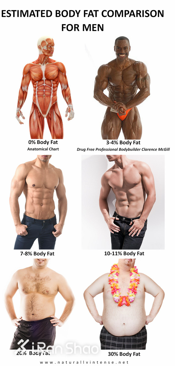 瘦身 | 一直嚷嚷着要减脂 考虑过脂肪的感受吗？