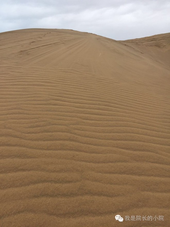 去远方 跑一场百公里 —— 记第三届青海湖超级越野跑
