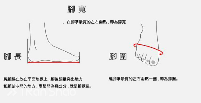 科普 | 如何确定你该穿什么尺码的跑鞋？