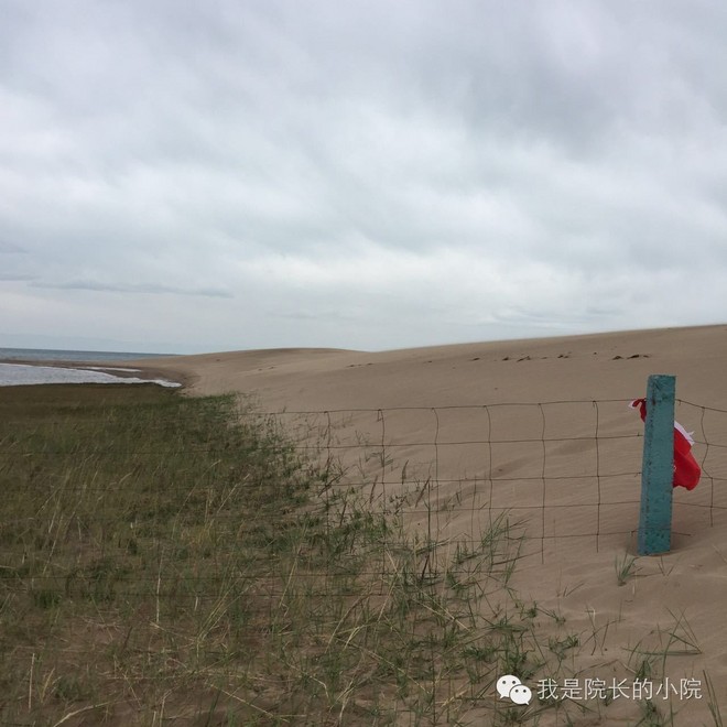 去远方 跑一场百公里 —— 记第三届青海湖超级越野跑