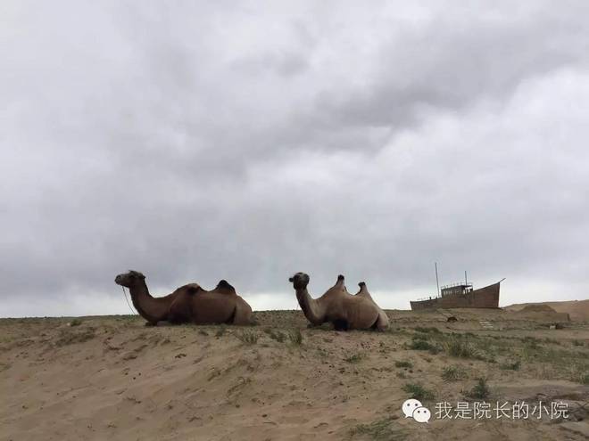 去远方 跑一场百公里 —— 记第三届青海湖超级越野跑