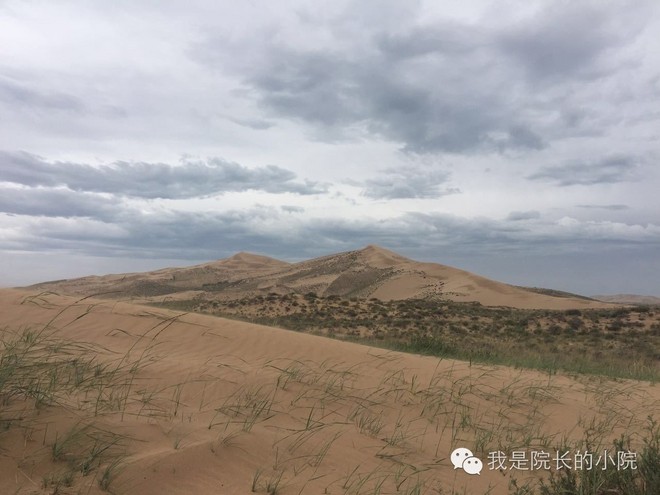 去远方 跑一场百公里 —— 记第三届青海湖超级越野跑