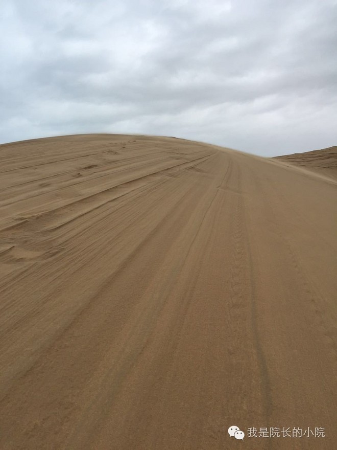去远方 跑一场百公里 —— 记第三届青海湖超级越野跑