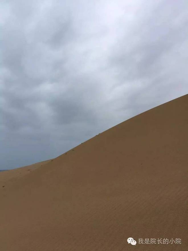 去远方 跑一场百公里 —— 记第三届青海湖超级越野跑