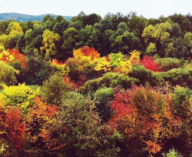 北疆慢跑记——伊春马拉松