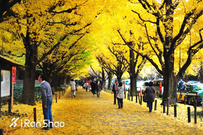 活动 | 当我一个人在选择装备时，我在困扰些什么？