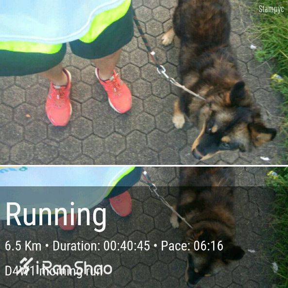 经验 | 跑完步不发朋友圈打个卡 那是不是白跑了么？