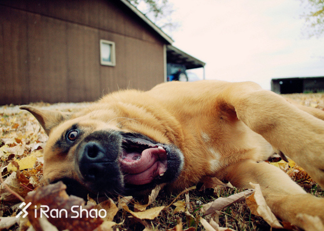 天凉跑个秋 在秋天跑步必须要做这几件事