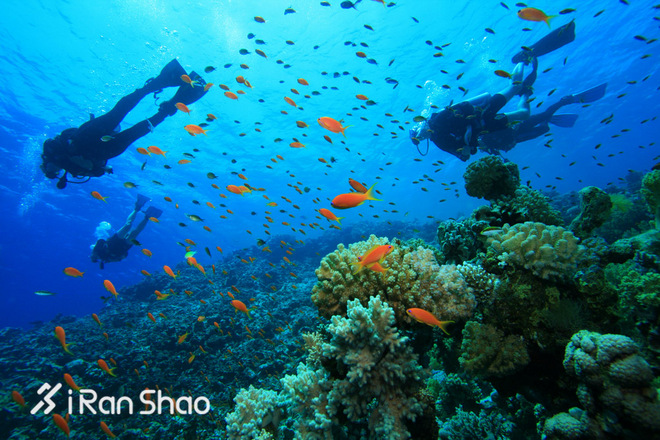 七项运动 国庆七天玩不够