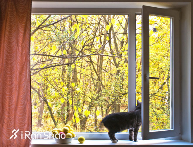 活动 | 当我一个人在选择装备时，我在困扰些什么？