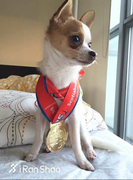 经验 | 学会这三招 把你的完赛奖牌拍的更弹眼落睛