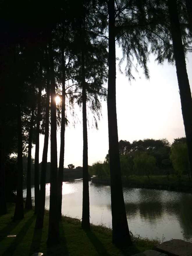 唠叨一下那个“无聊”的24小时