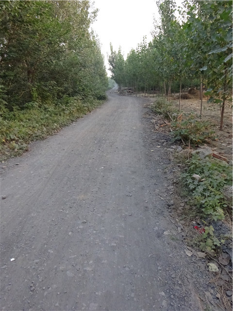 迪卡侬KIPRUN TRAILL XT6：初级越野跑者的利器