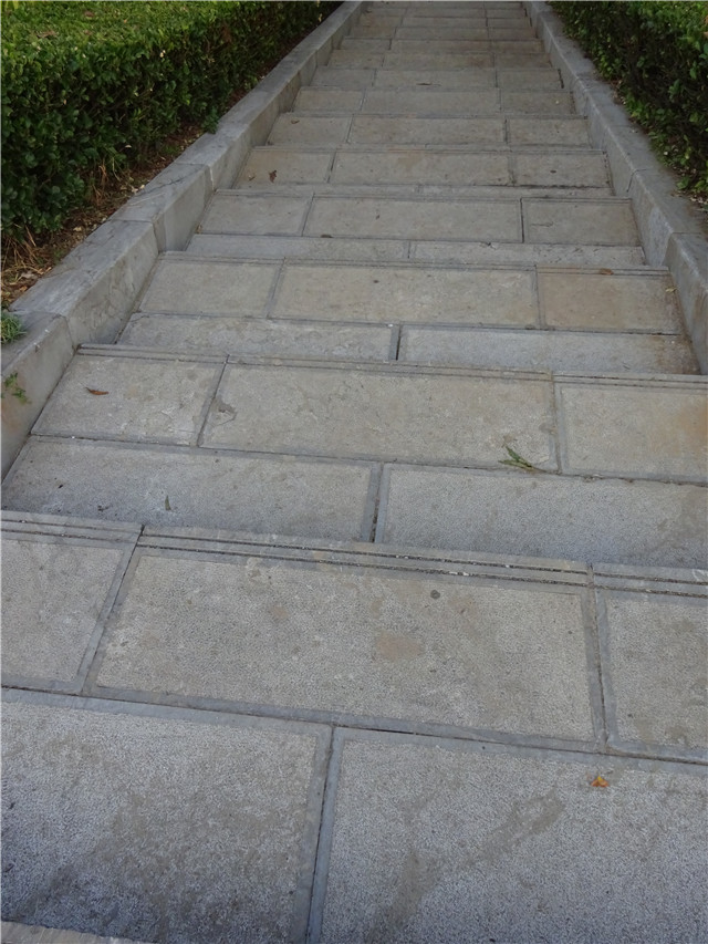 迪卡侬KIPRUN TRAILL XT6：初级越野跑者的利器