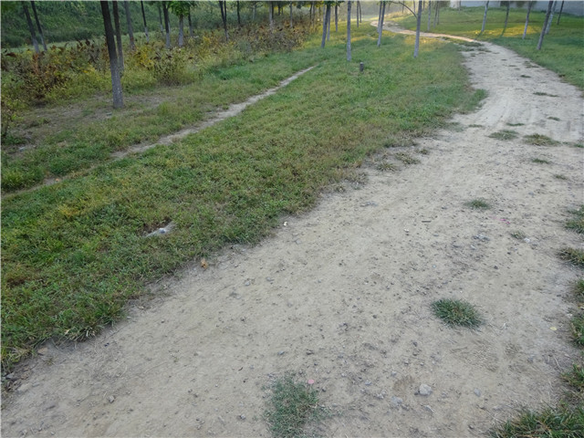 迪卡侬KIPRUN TRAILL XT6：初级越野跑者的利器