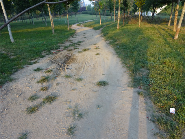 迪卡侬KIPRUN TRAILL XT6：初级越野跑者的利器