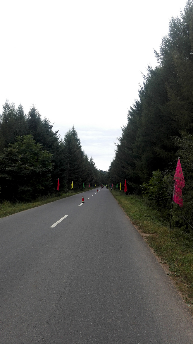 北疆慢跑记——伊春马拉松