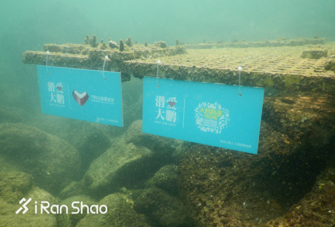 有口皆碑 深圳大鹏马拉松9月28日开始报名啦