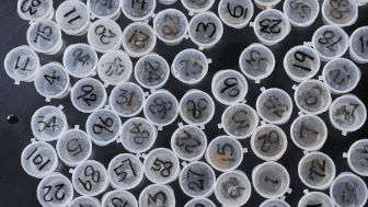 你和PB之间只有一个爱燃烧马拉松参赛套包的距离