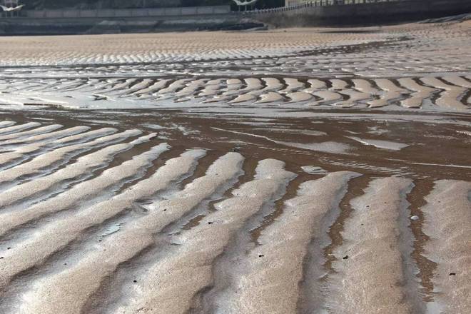 激情铁三落户魅力海岛，连云港首届铁人三项赛完美体验！