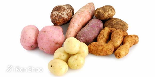 饮食 | 别再把你的肥胖怪在“碳水”头上