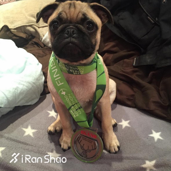 经验 | 学会这三招 把你的完赛奖牌拍的更弹眼落睛