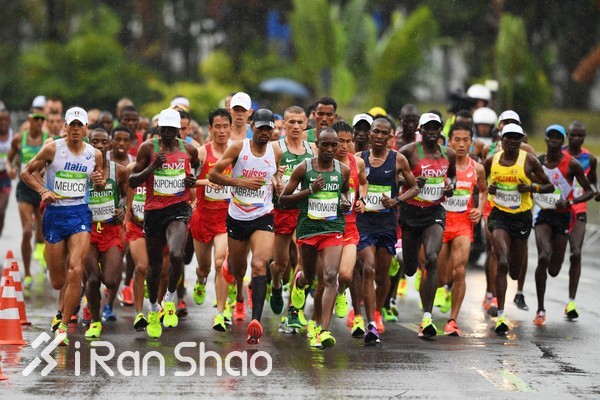 深度 | 里约奥运马拉松 中国选手征战内幕（上）